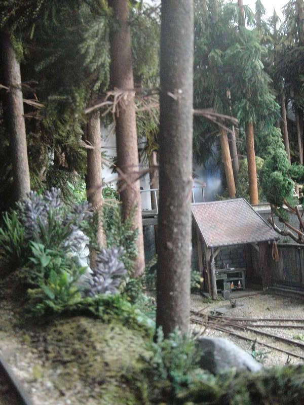 Waldbahn,1/22,5-07