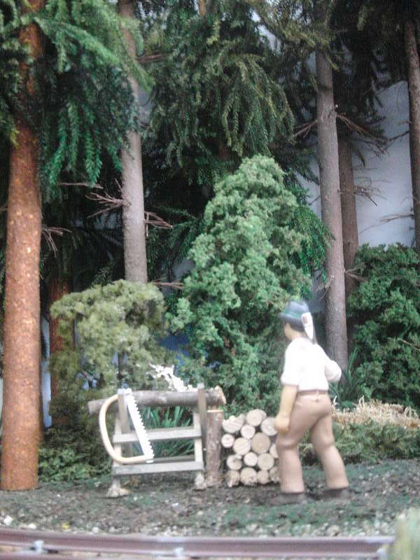 Waldbahn,1/22,5-08
