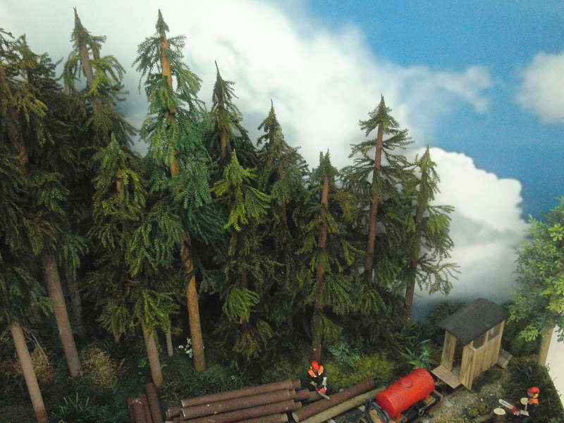 Waldbahn,1/22,5-09