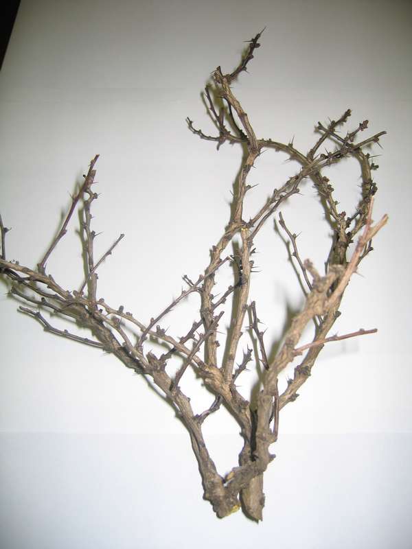 Naturmaterial01