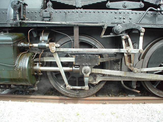 Tigerli-Detail