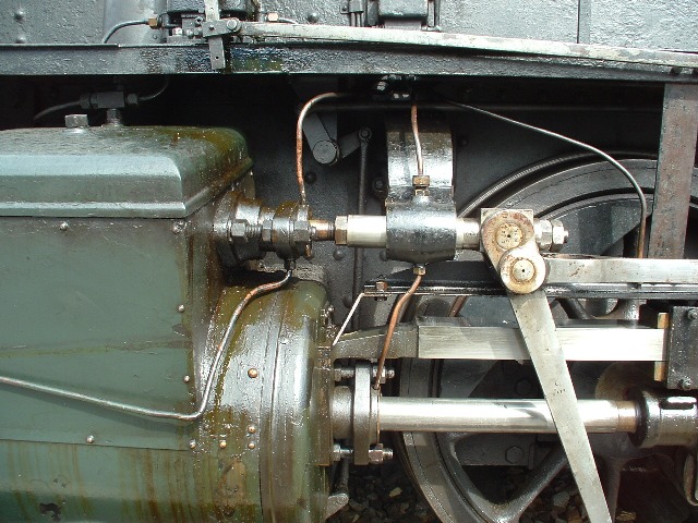 Tigerli-Detail