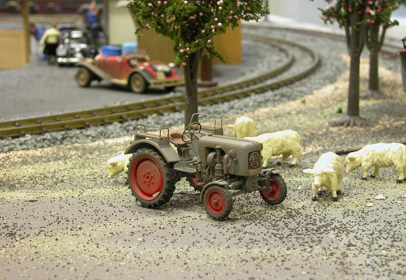 Schafe mit Eicher Traktor
