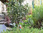 3572005-03-29--14-56_-_med.jpg