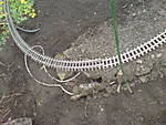 32DSC00496.JPG
