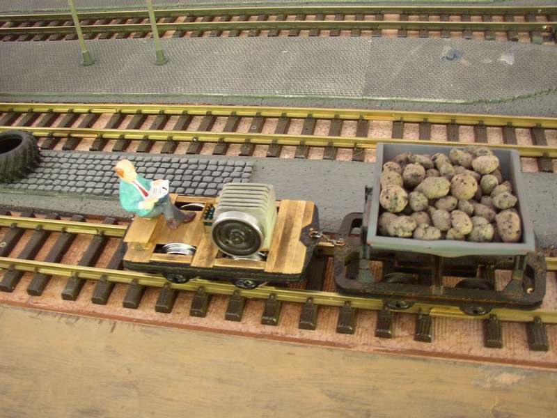 P1010003