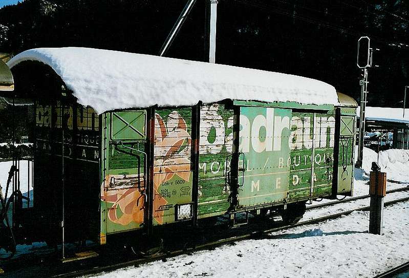 Gbk-v 5609 &quot;Badraun&quot;