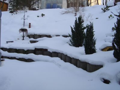 Dsc02305