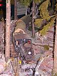 143Waldbahn_DSCN1961.JPG