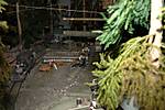 143Waldbahn_DSC_0327.JPG