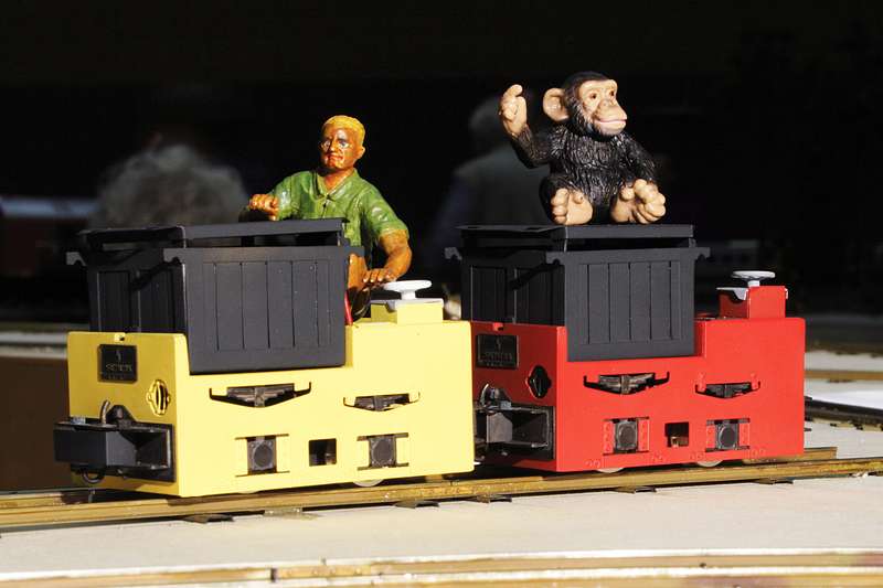 Domino-Modul Marcel