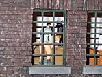 357Koeln_009-klein.jpg