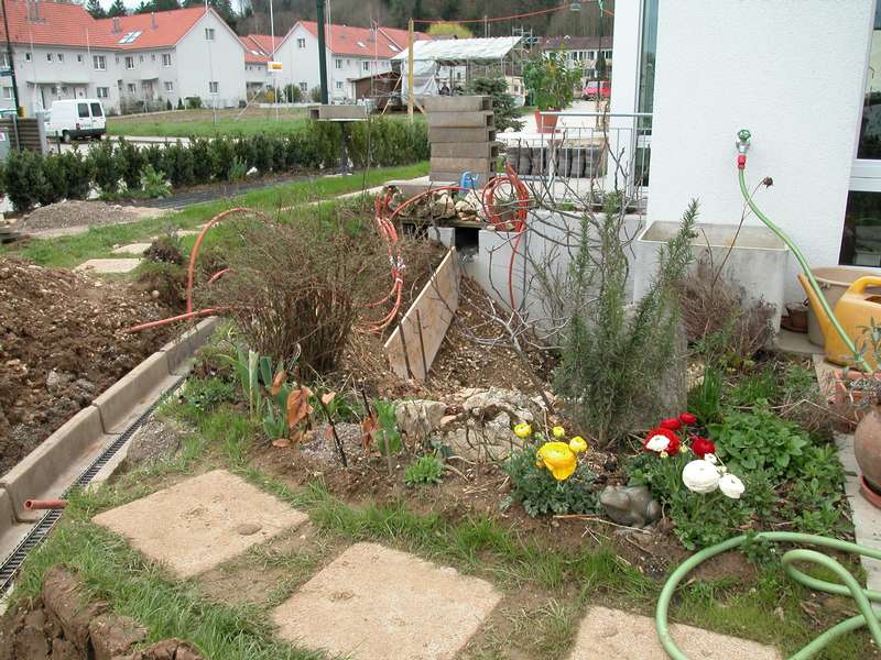 Garten 6