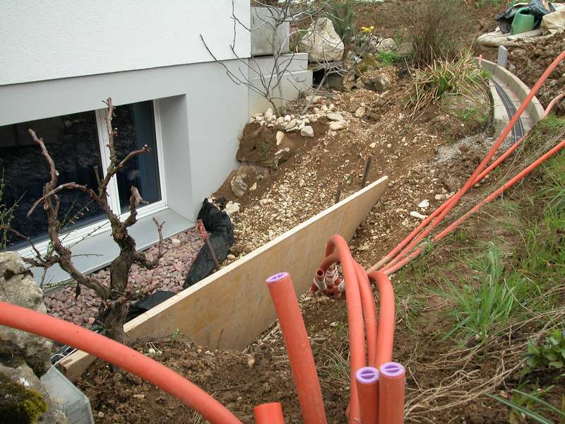 Garten 7