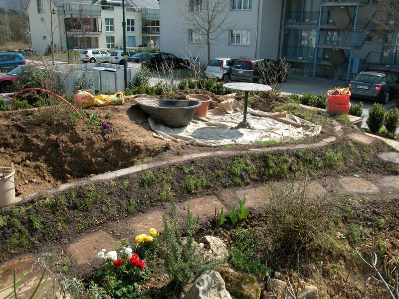 neuerungen im Garten