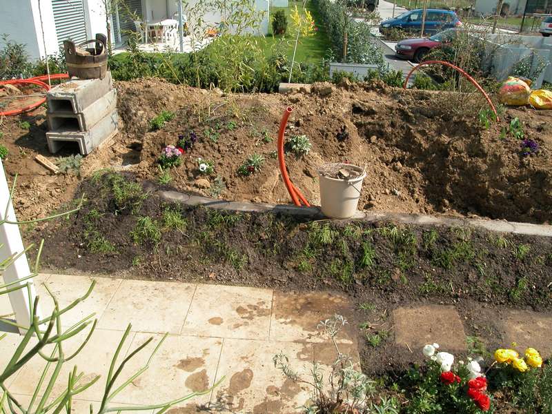 neuerungen im Garten