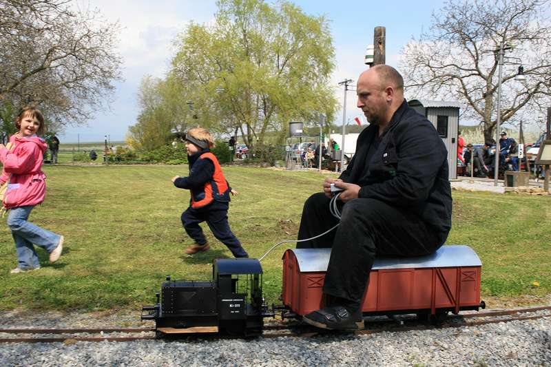 Bild