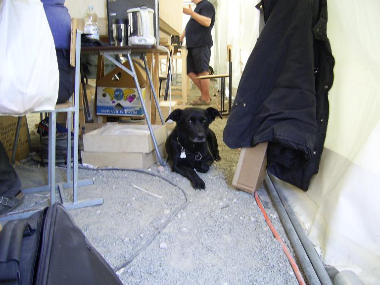 Bild