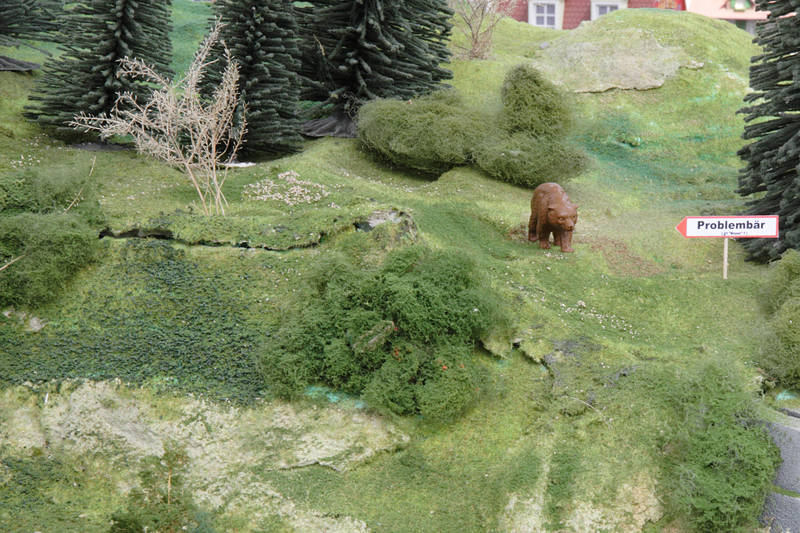 Der Bär ist los
