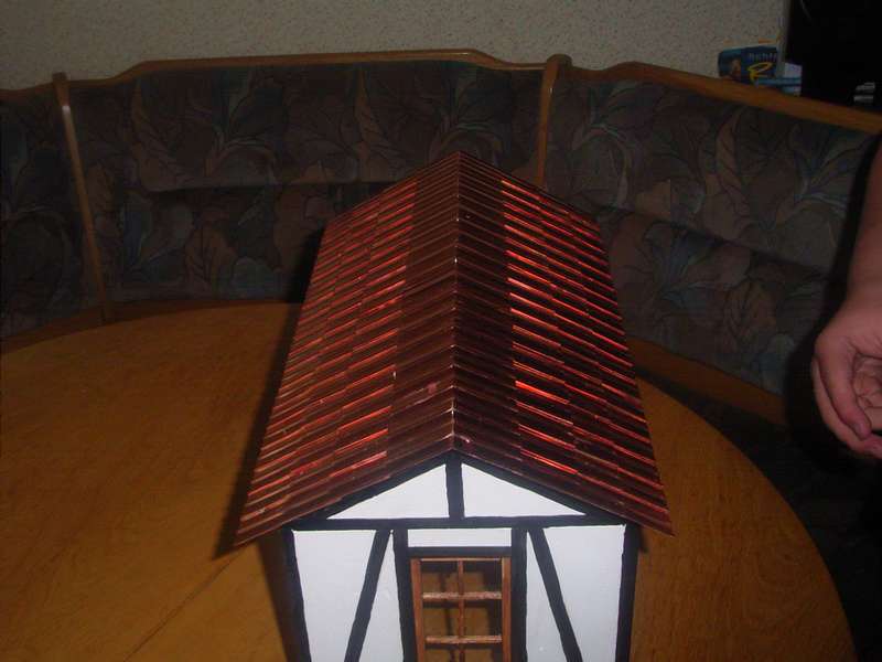 Lokschuppendach (1)