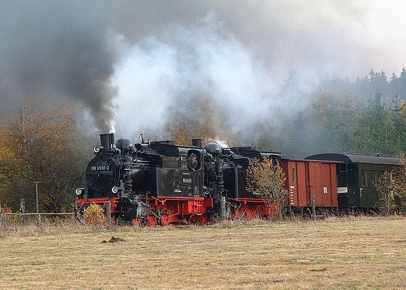 Bild 1 der (P)Fiffiwoche