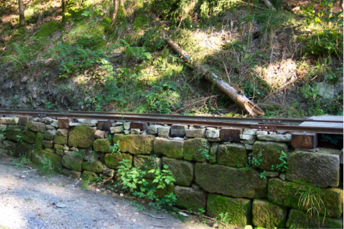 Wetzstein1
