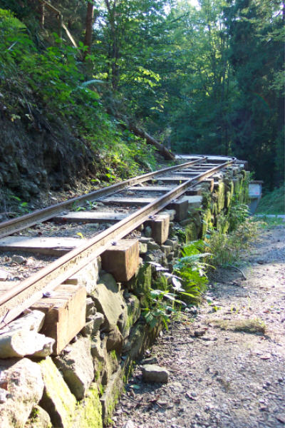 Wetzstein4