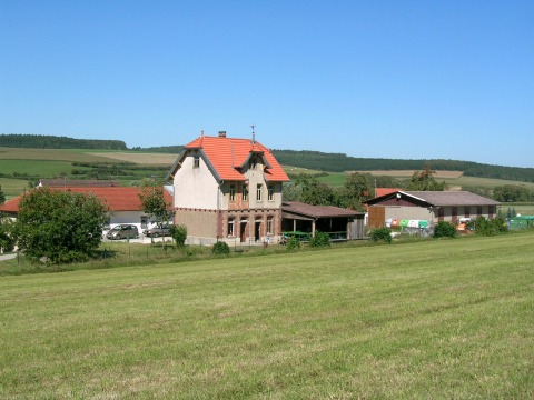 Dischingen (010)
