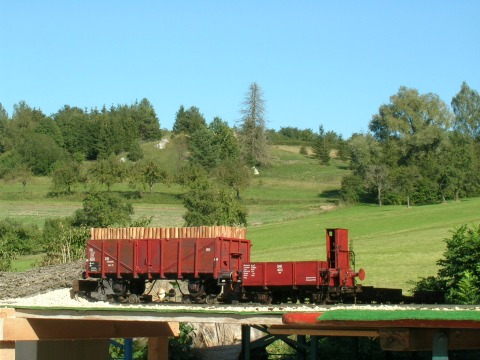 Dischingen (017)