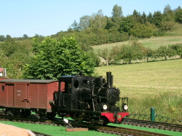 Dischingen II (059)