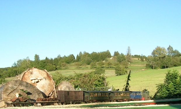 Dischingen II (090)