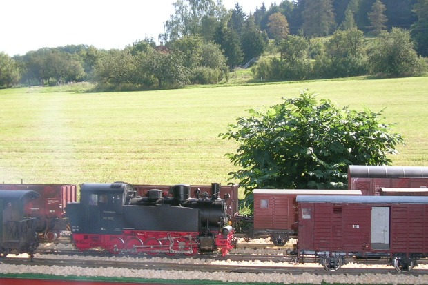Dischingen II (126)