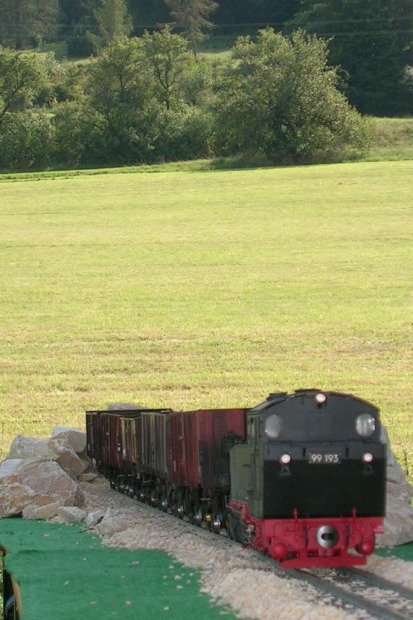 Dischingen II (137)