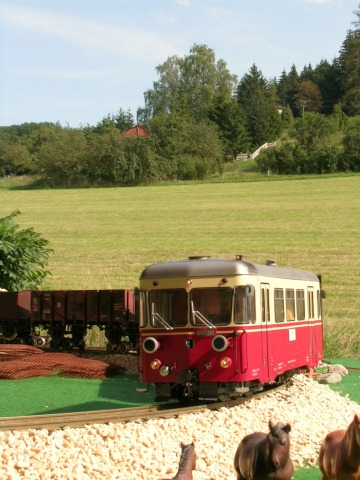 Dischingen (038)