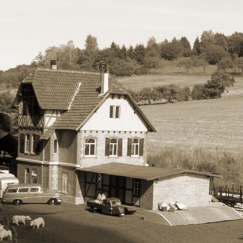 Dischingen (039)