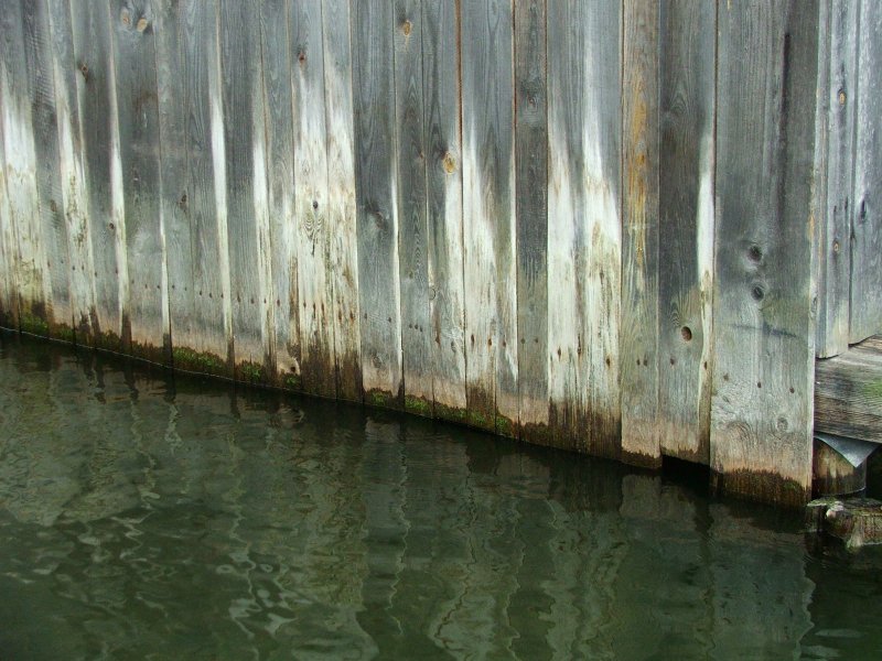 Holz_am_Wasser_02