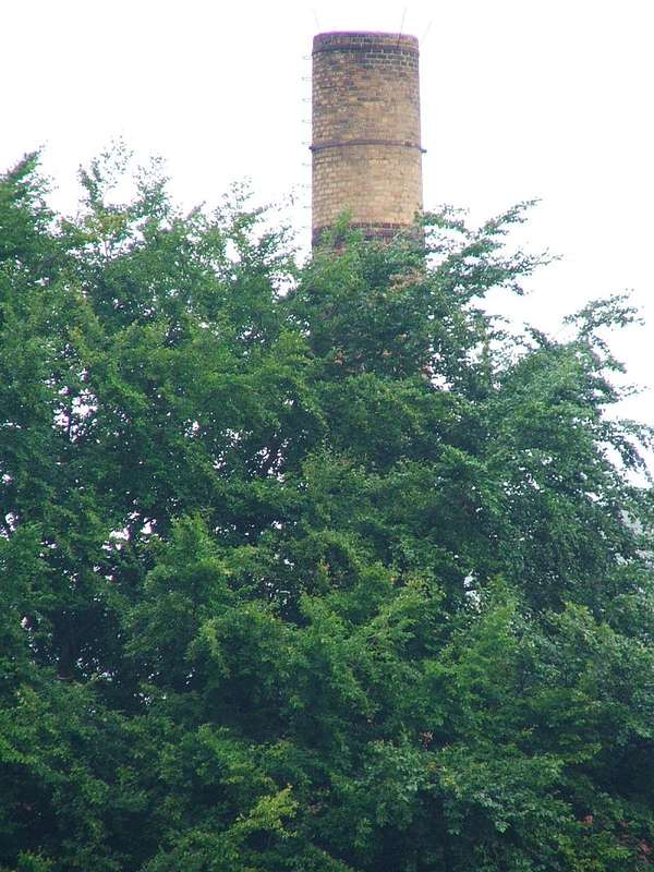 Malchow_09