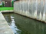 567Holz_am_Wasser_01.jpg