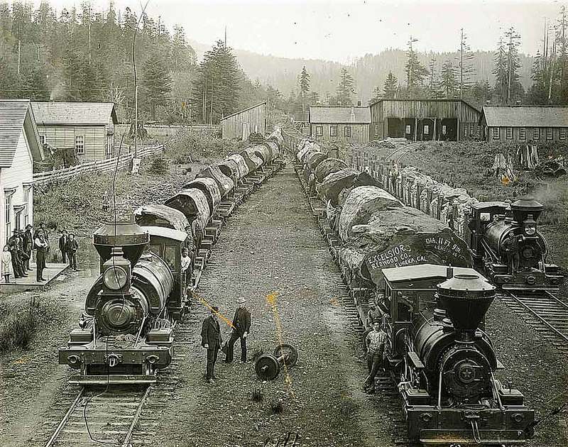 Old Freshwater Operations of Excelsior Redwood Co. - 1890s