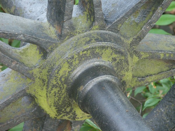 050625_Spreewaldbahn_BurgRad-V-Speiche7_038