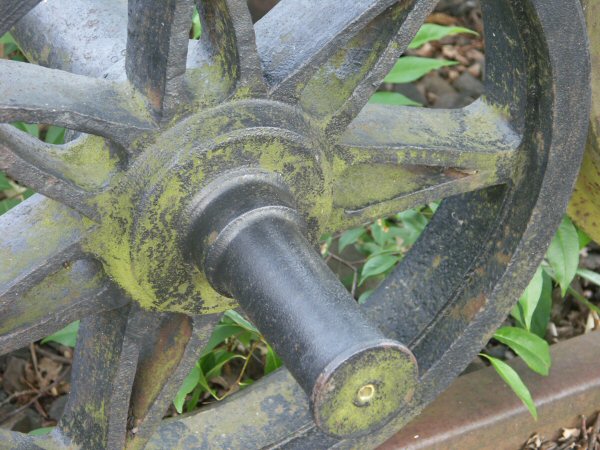050625_Spreewaldbahn_BurgRad-V-Speiche7_040