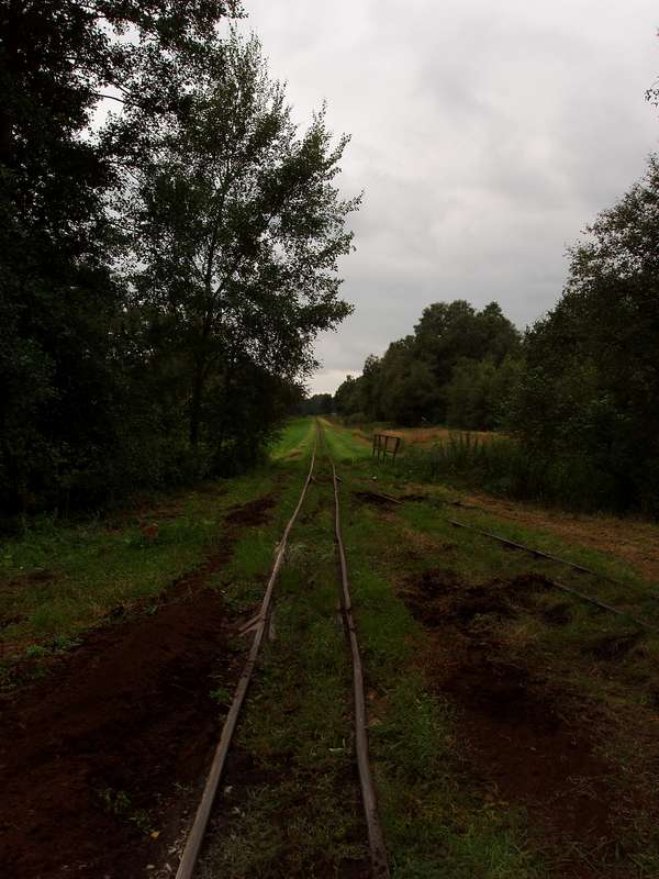 Strecke ins Moor