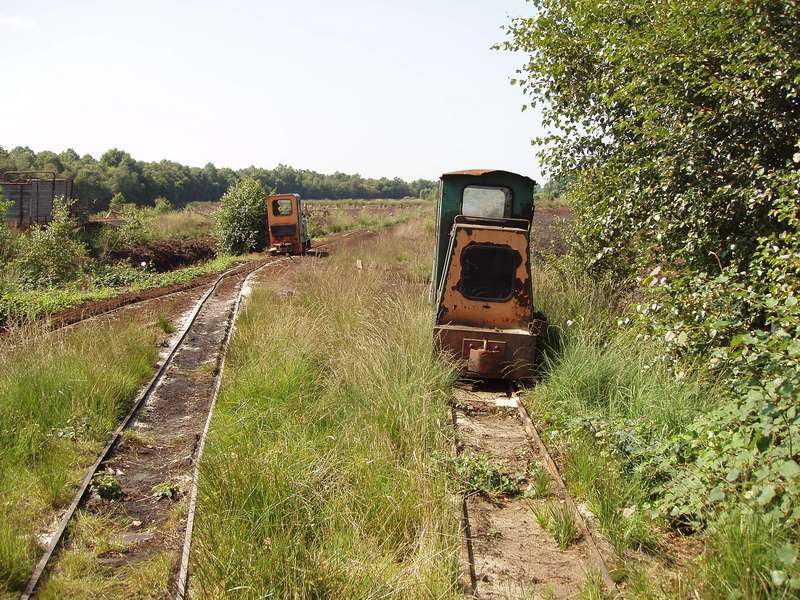 Diema (links) und Schöma (rechts)