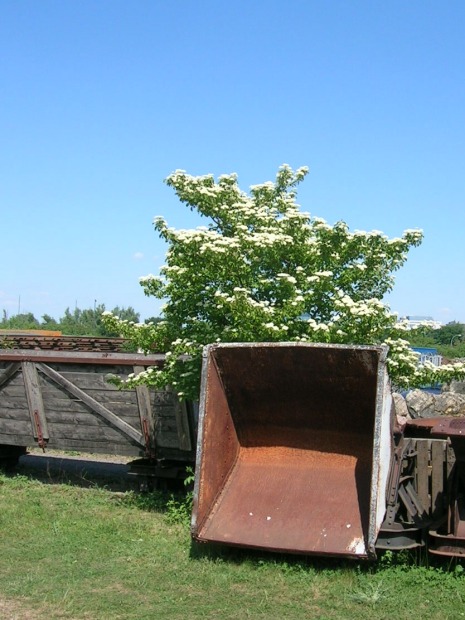 Feldbahn-Romantik