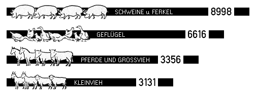 Lebend-Tier Transporte bei der DRG 1935