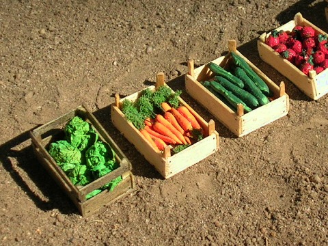 Salat, Möhren, Gurken