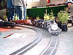 477Fr_hlingsfest_der_Gartenbahnen_Hilbersdorf_2005_004.jpg