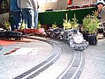 477Fr_hlingsfest_der_Gartenbahnen_Hilbersdorf_2005_004.jpg