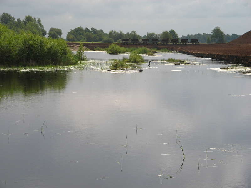 Dellstedt_Schluss