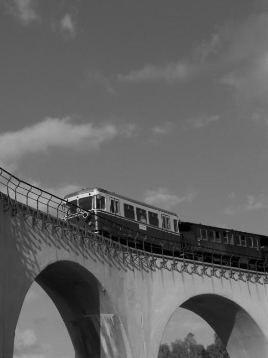 Triebwagen_auf_Viadukt